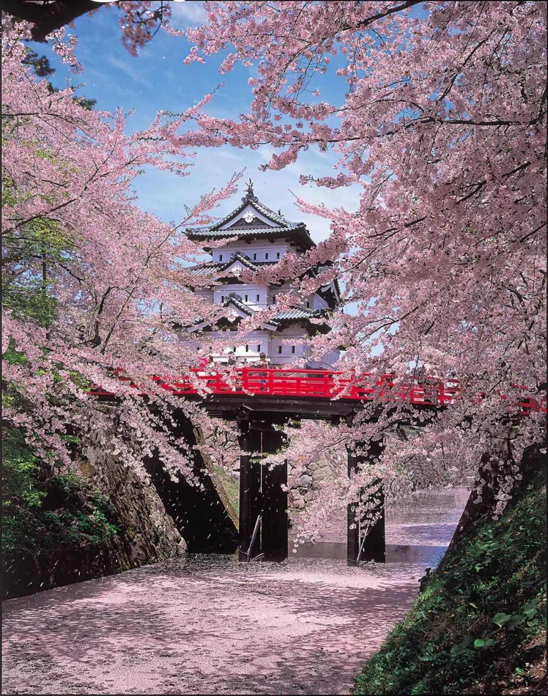 潜派旅行