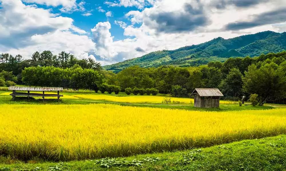 潜派旅行