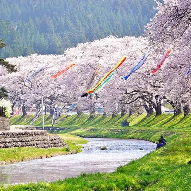 潜派旅行