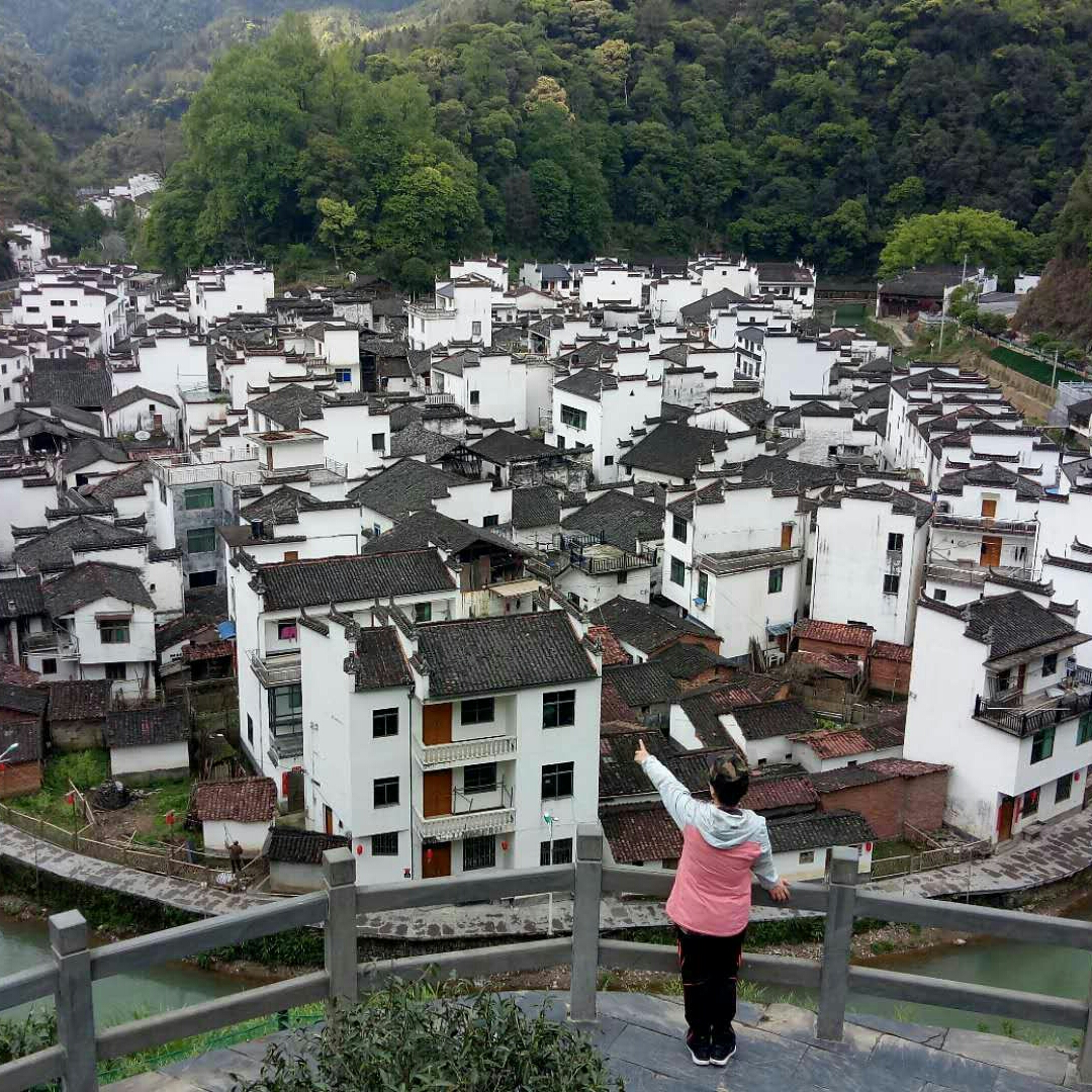 一个萝卜一个坑