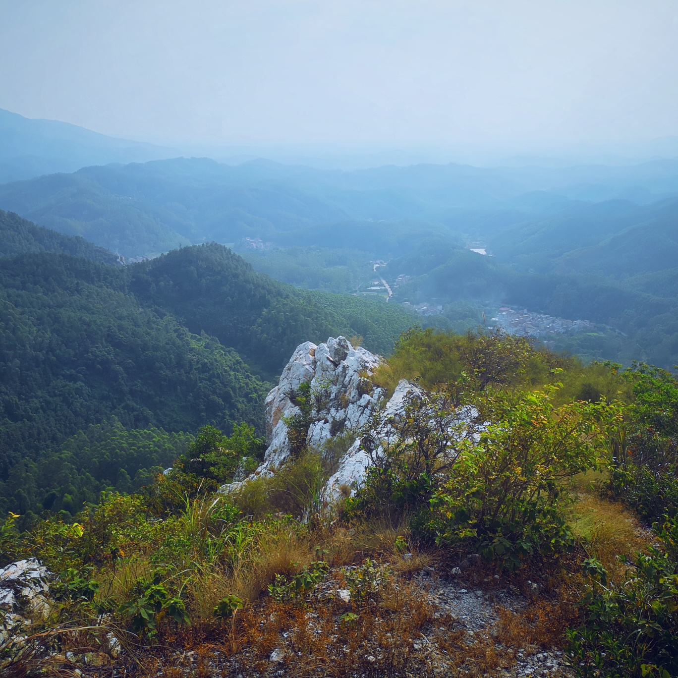 辣味小土豆