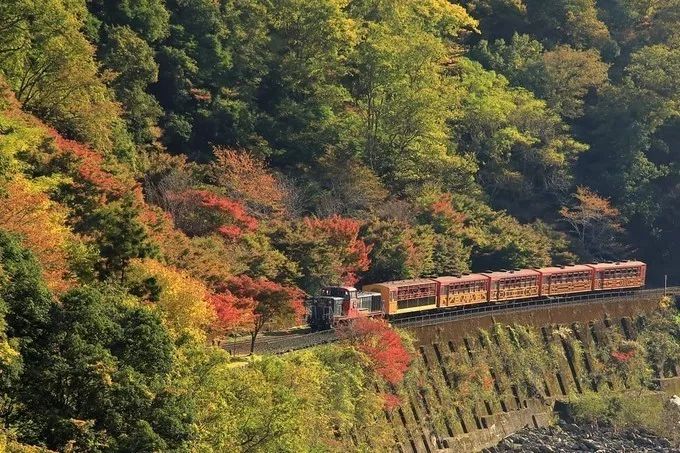 潜派旅行