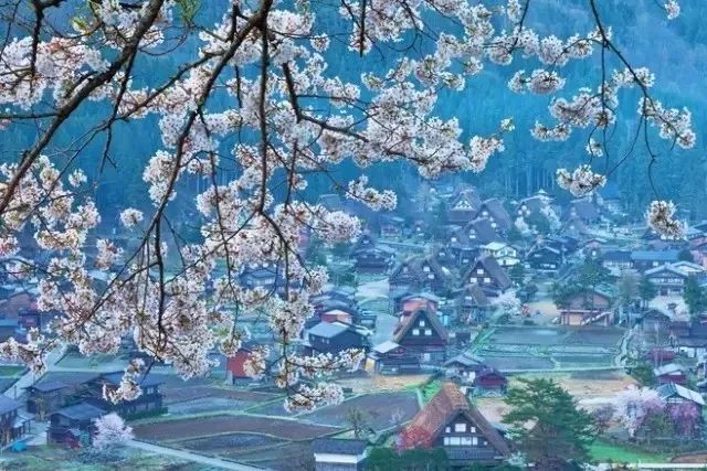 潜派旅行