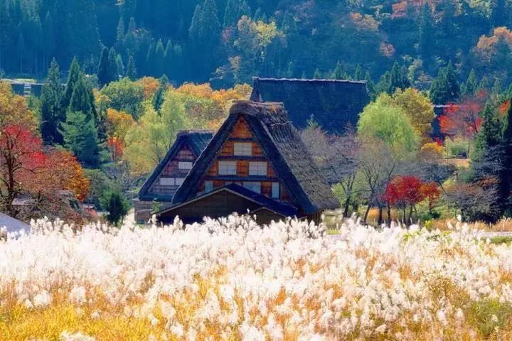 潜派旅行