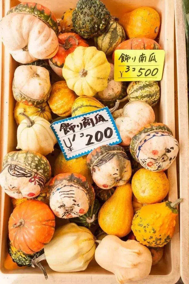 潜派旅行