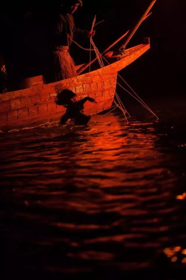 潜派旅行