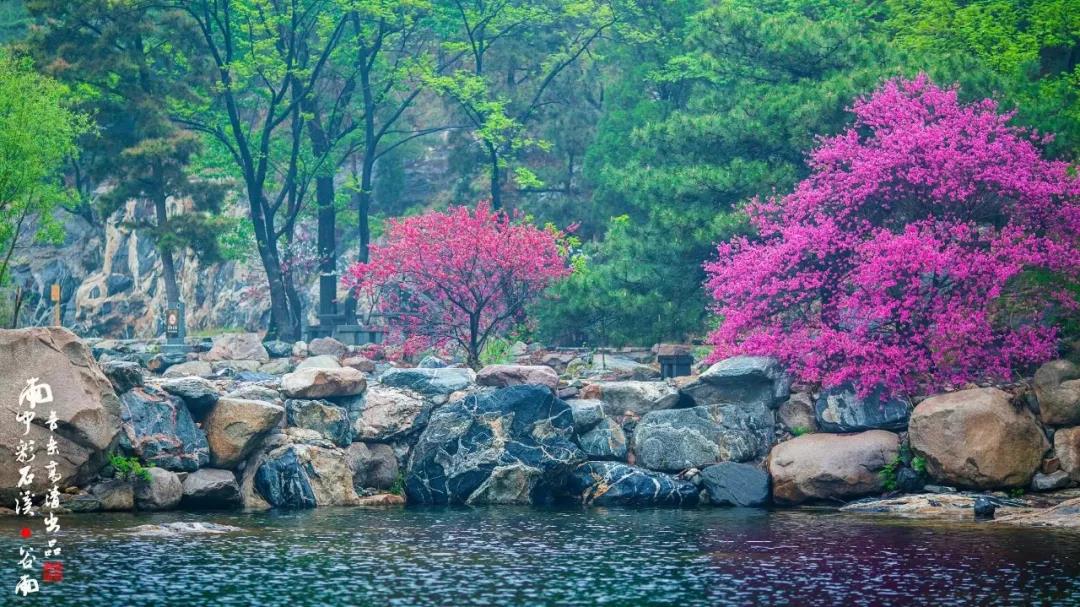 有效/赠送岱庙等6大景区/刷身份证入园/可选天外村 红门万仙楼 桃花峪