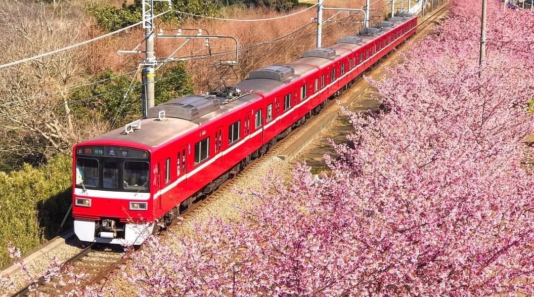 潜派旅行