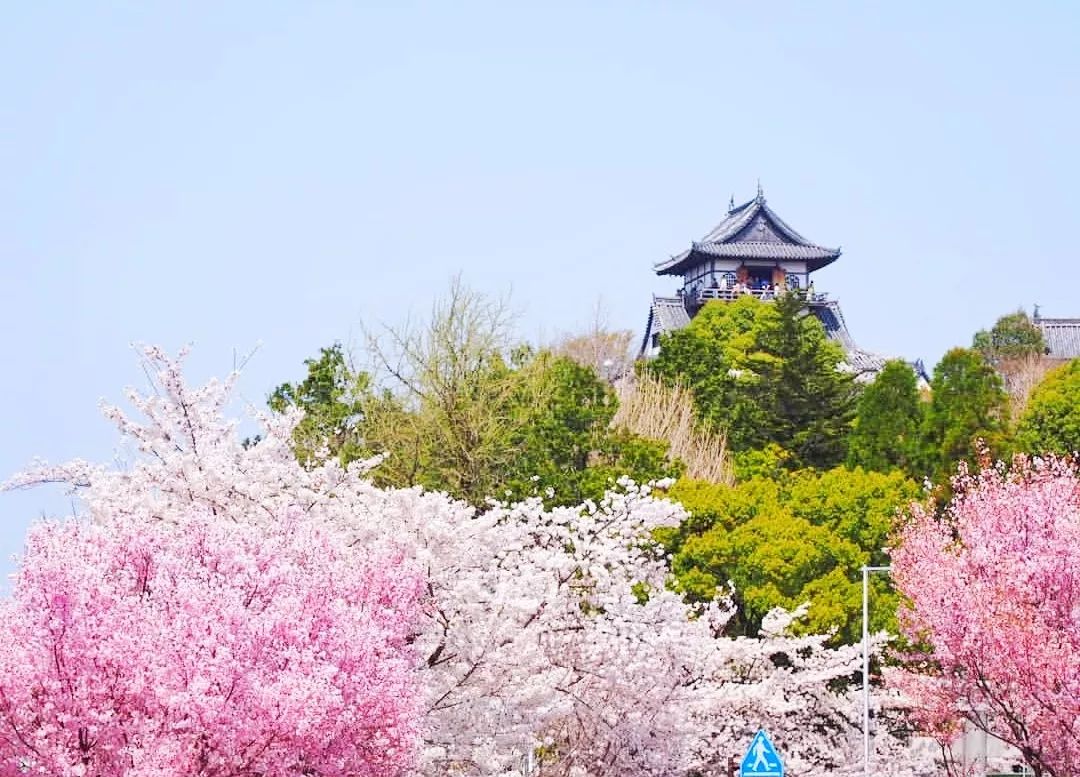 潜派旅行