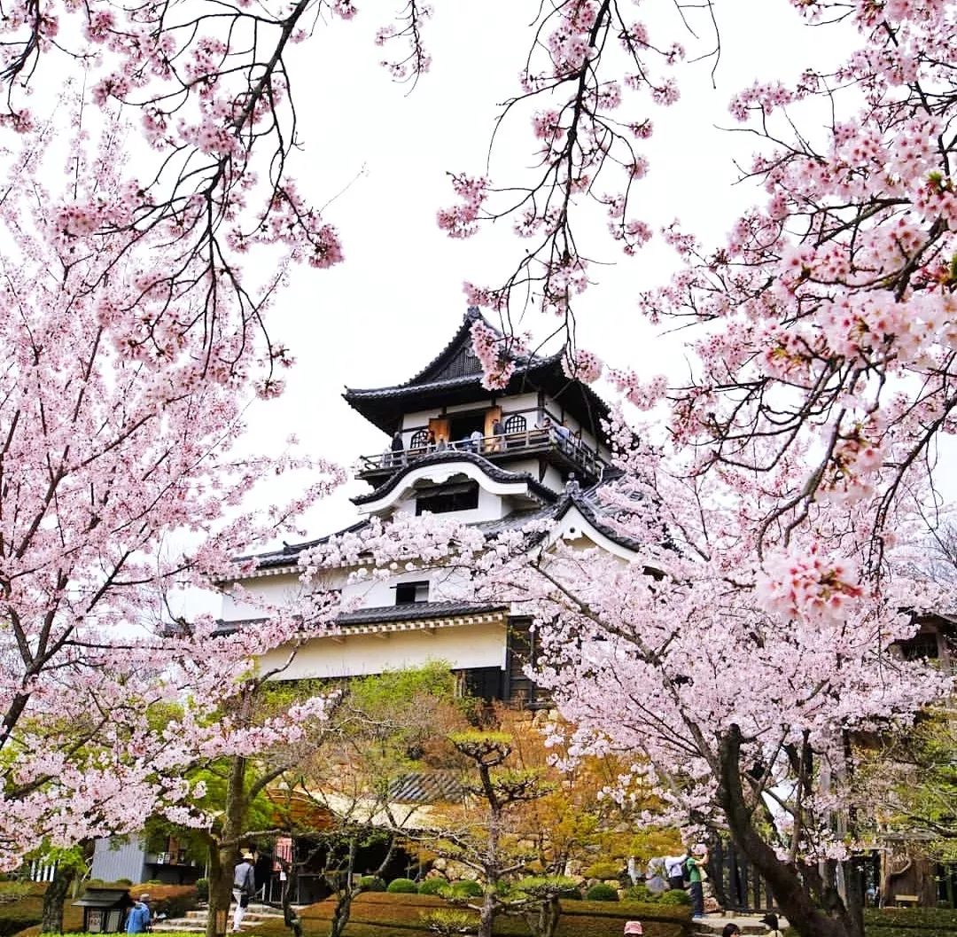潜派旅行