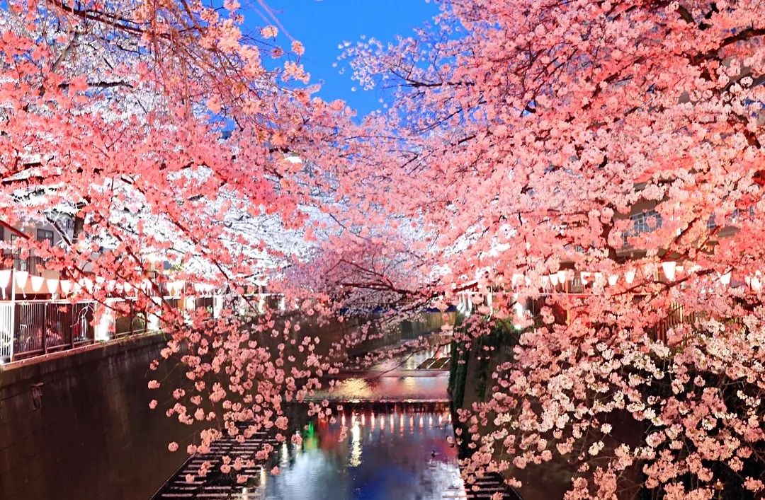 潜派旅行