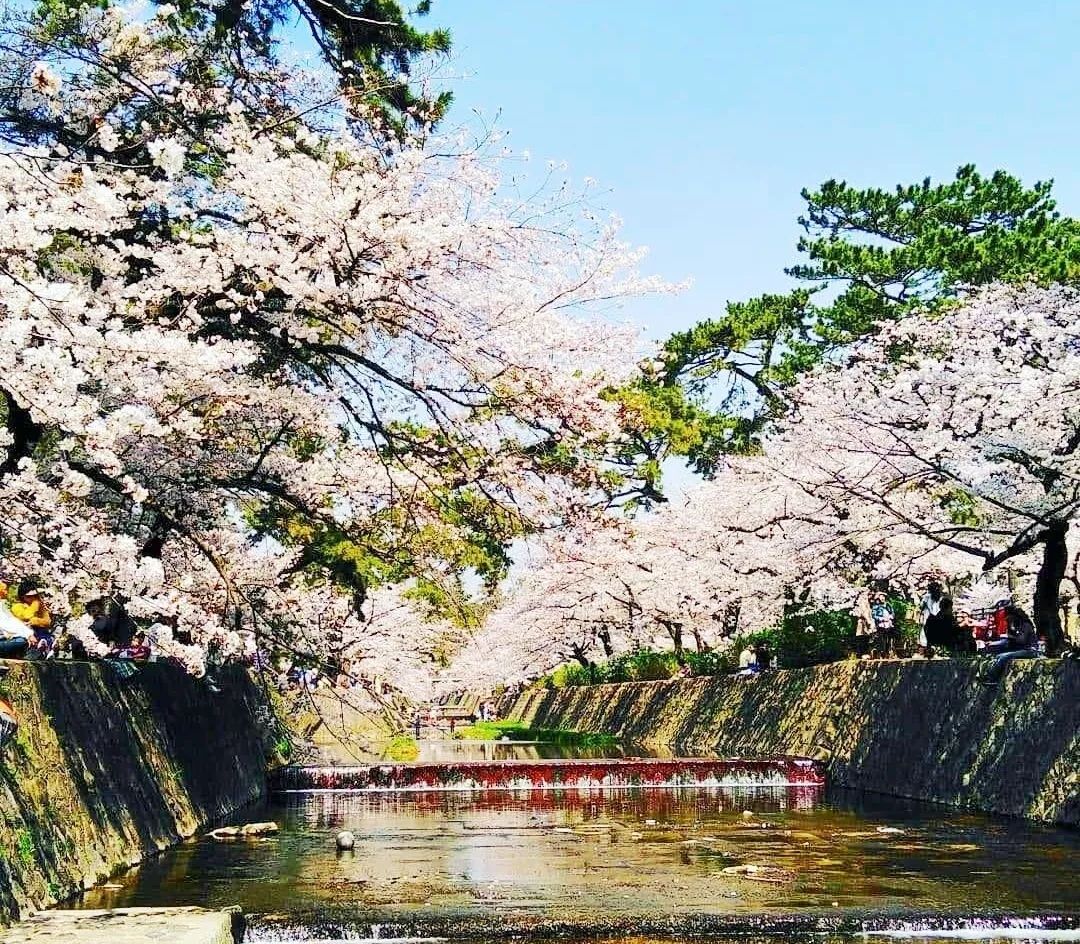 潜派旅行