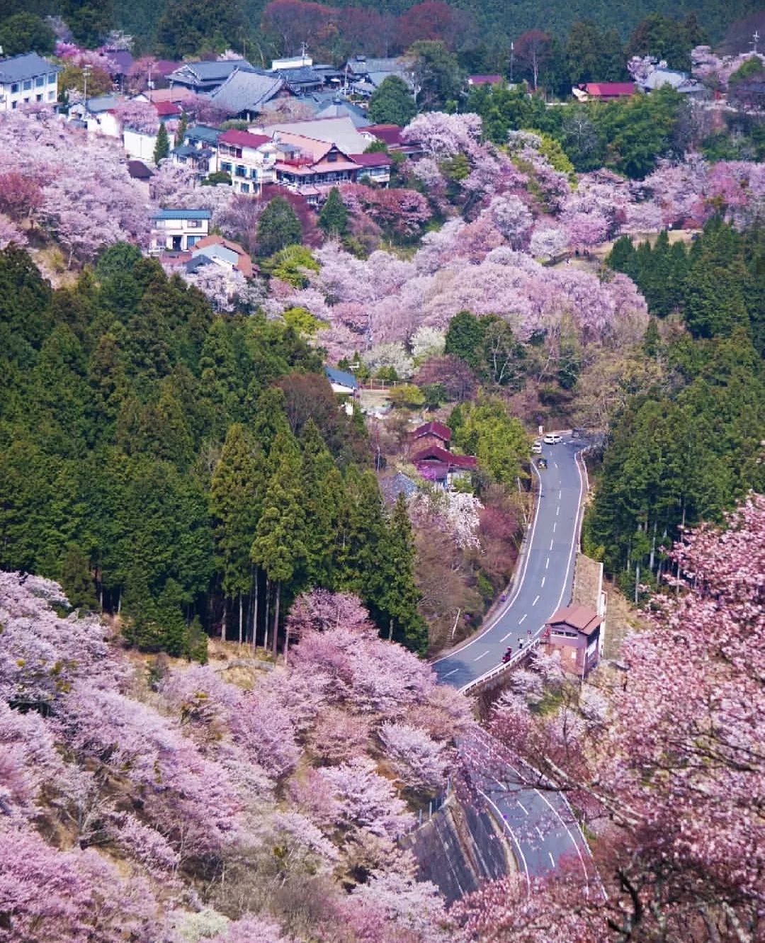 潜派旅行
