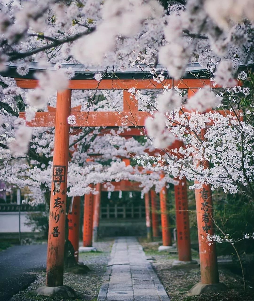 潜派旅行