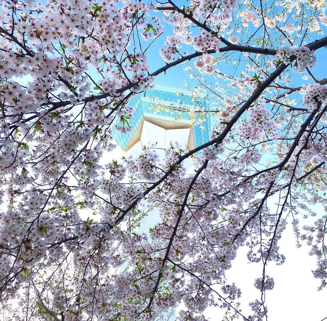 潜派旅行
