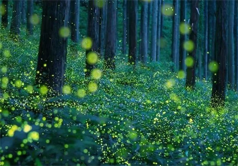 潜派旅行