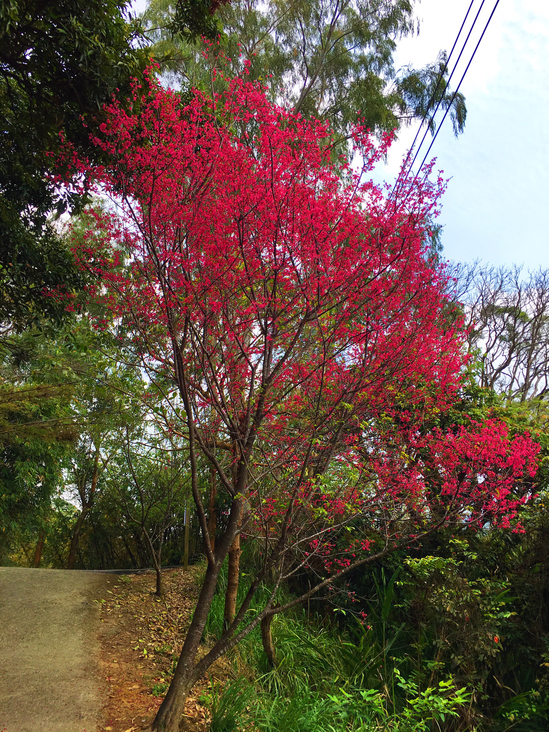 台中娱乐-大坑10号步道