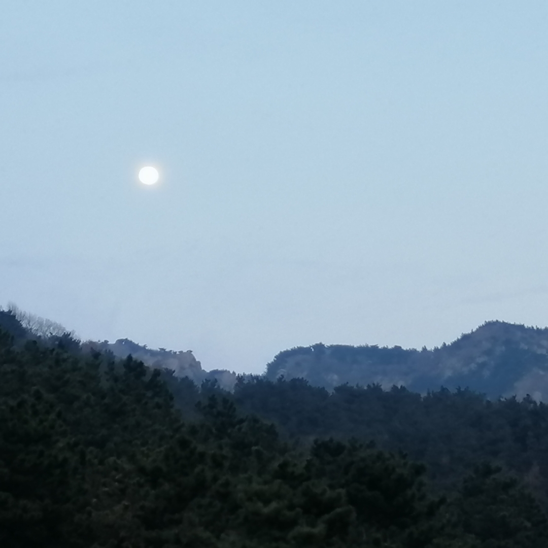 彪悍人生