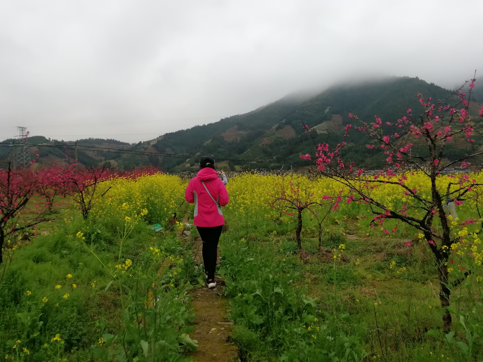 2019.3.1-3.3韶关乐昌九峰花海