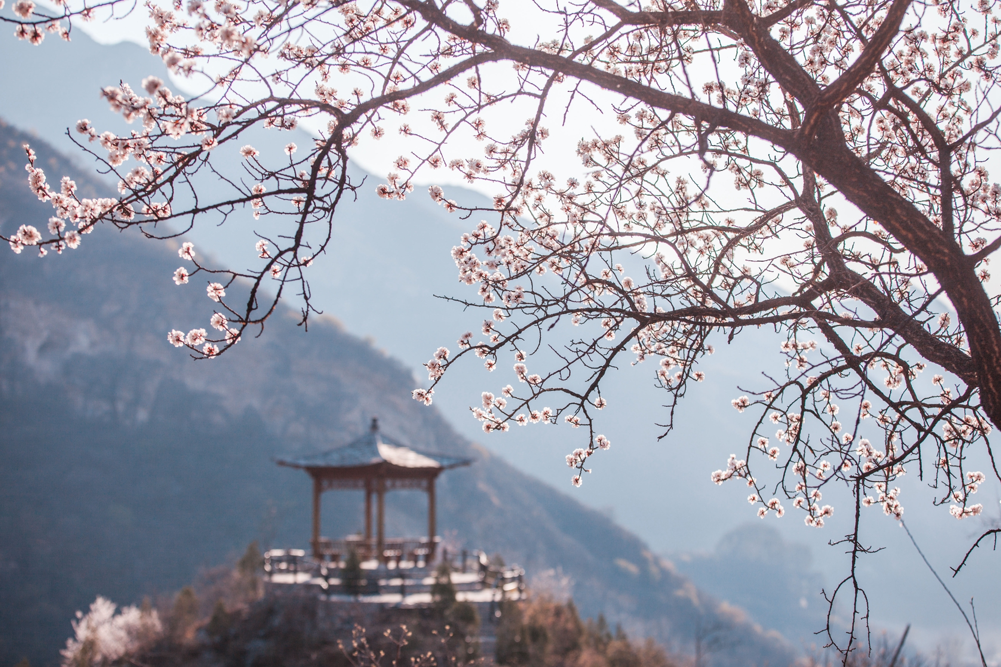 北京房山云上石屋民宿2天1晚早餐坡峰岭风景区门票躺在床上看风景周边