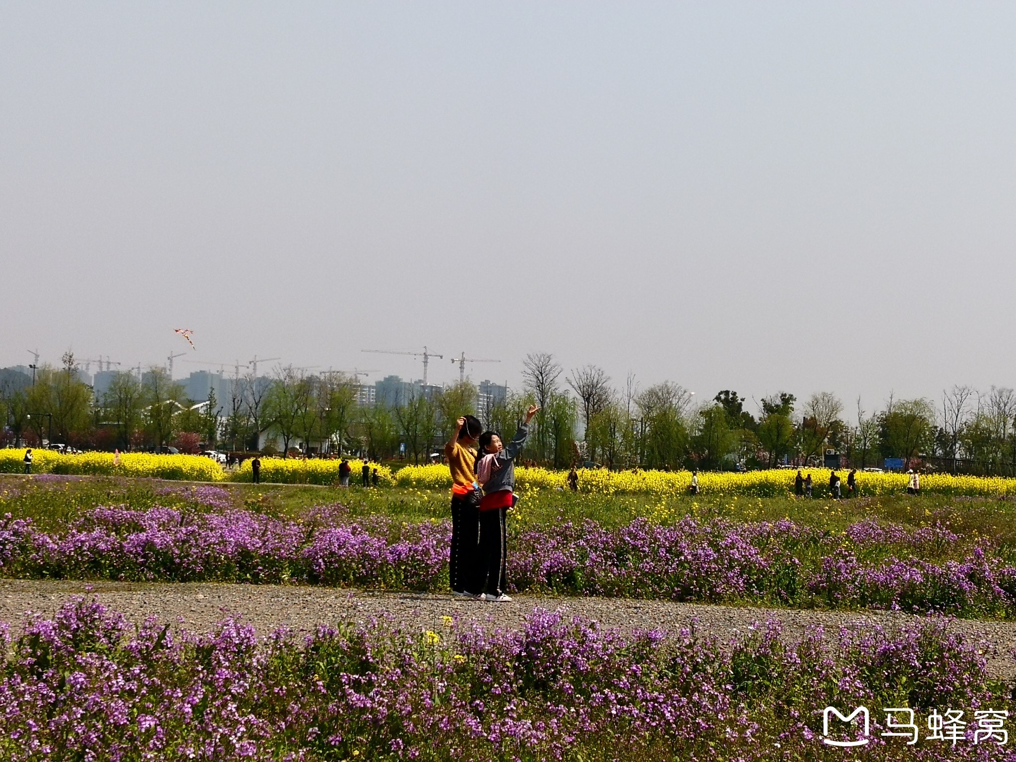 周末(3月24日)在杭州湘湖景区游览"湘湖花海"的万亩油菜花----走遍