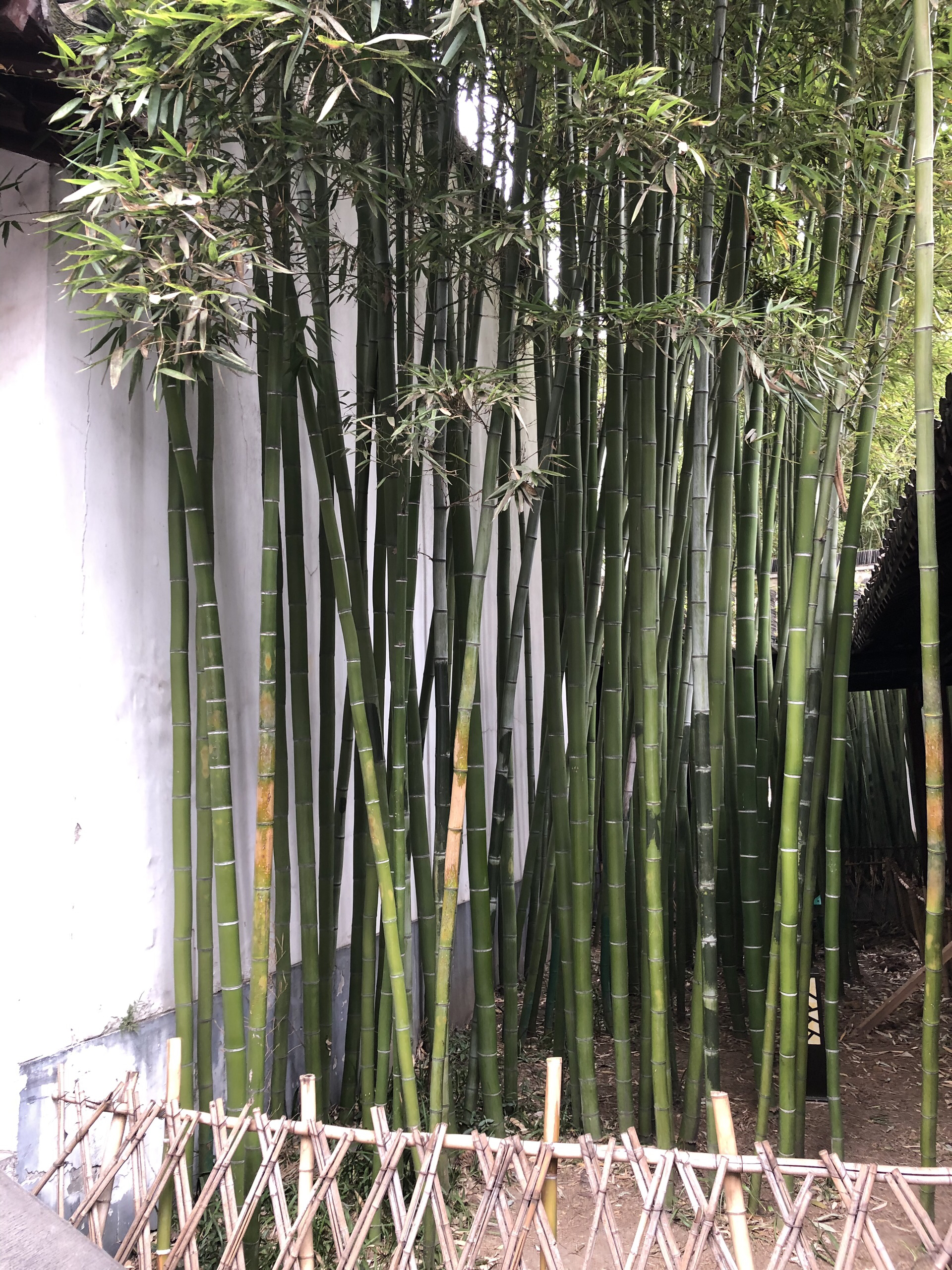 南京美食-樱·璐·吉日式料理