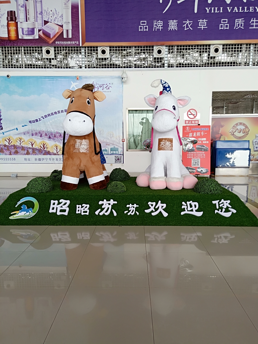 伊犁~昭苏马场培训_游记