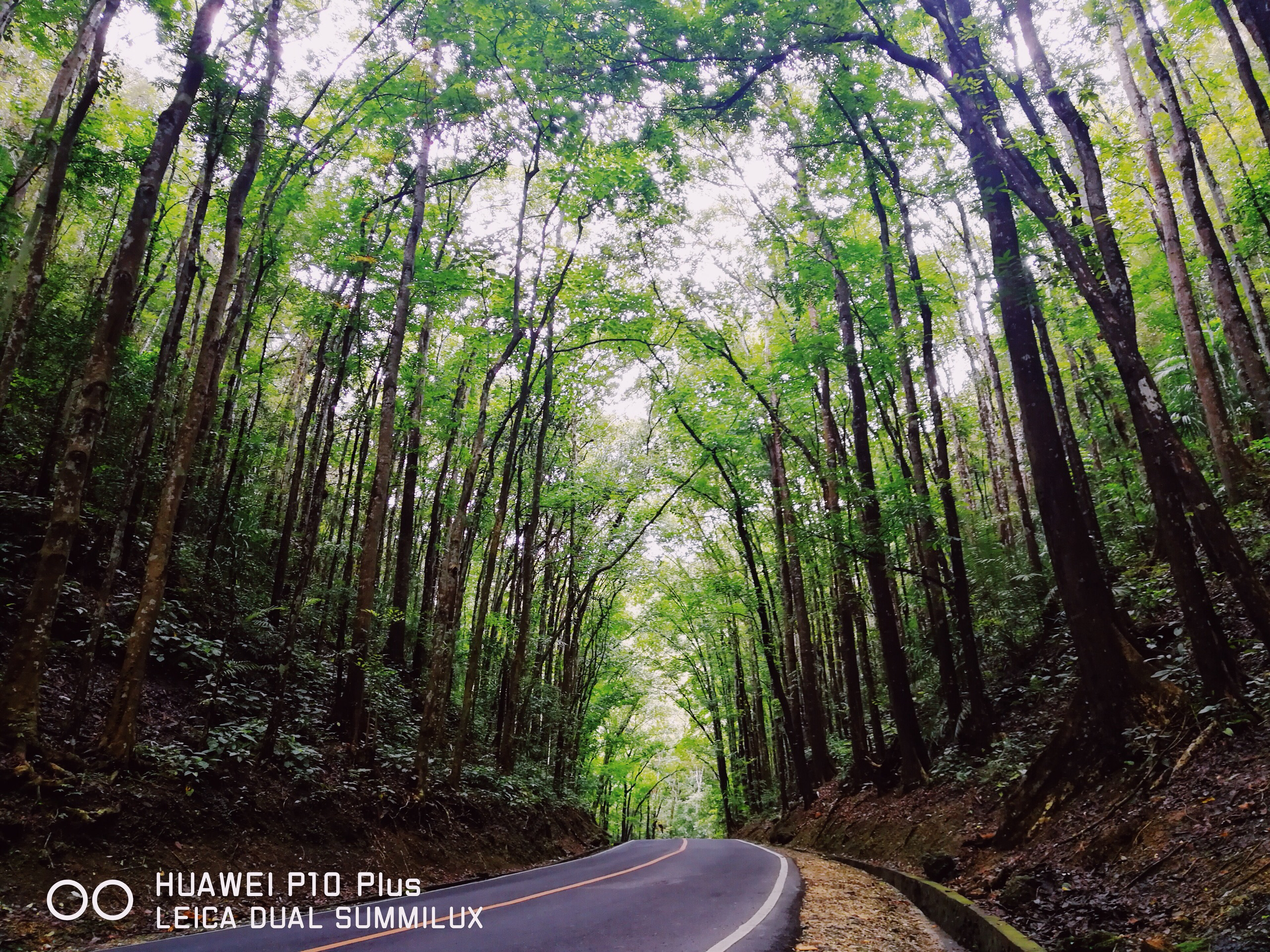 菲律宾美食-Oops Bar