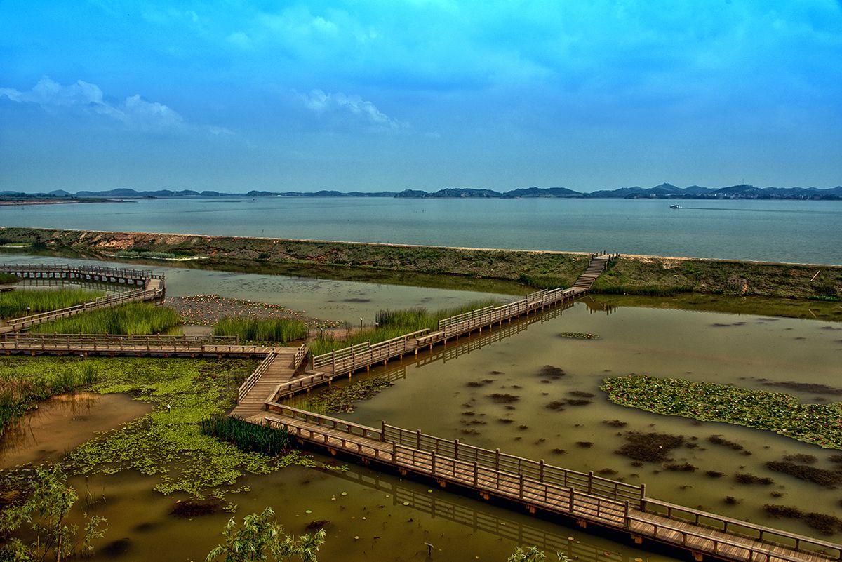 江西上饶鄱阳湖湿地公园景区 鄱阳湖国家湿地公园门票