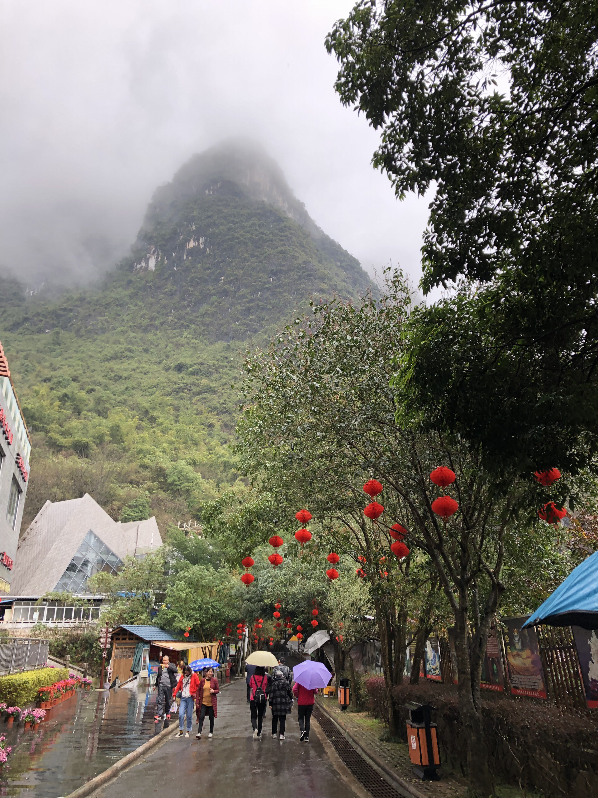 【荔浦景点图片】银子山