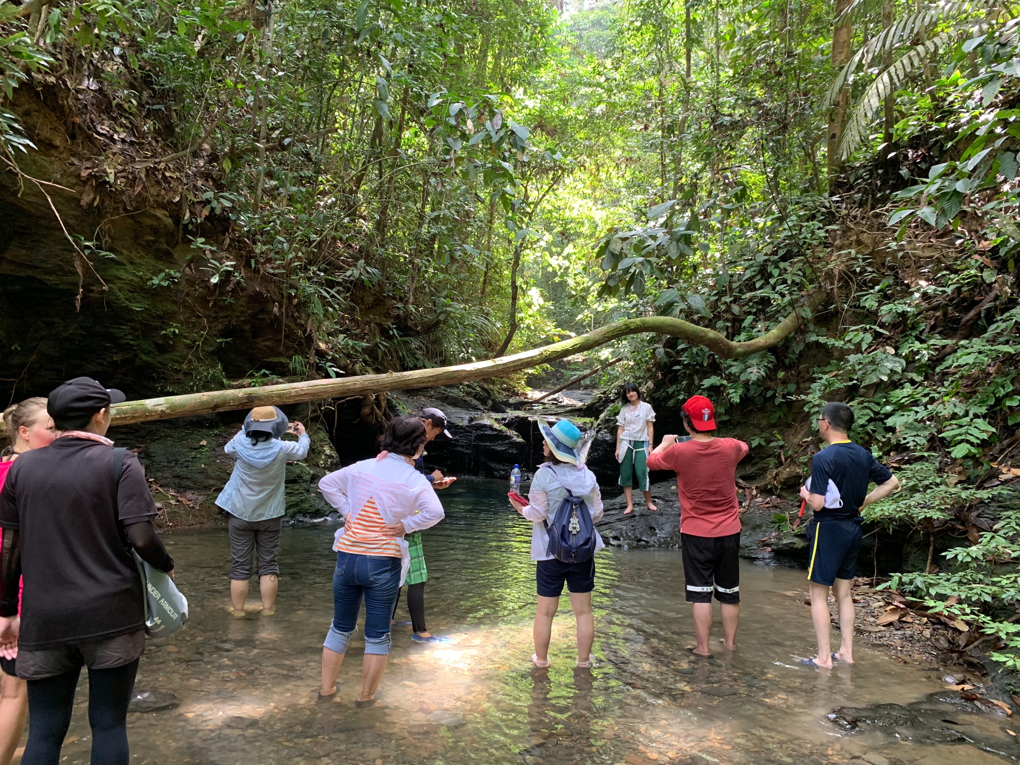 11路公交文莱慢慢来之旅_游记