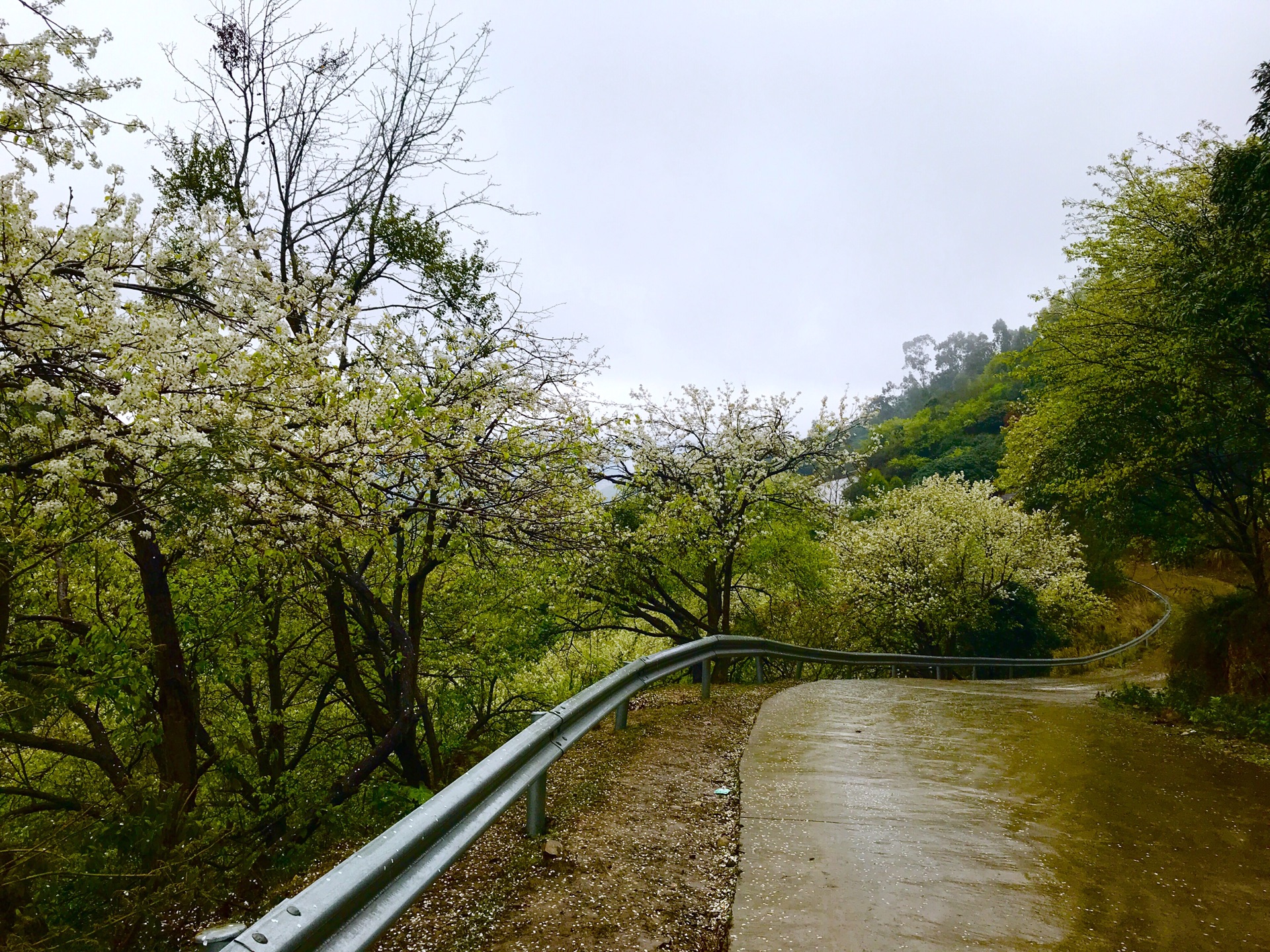 碗窑梨花谷景区        