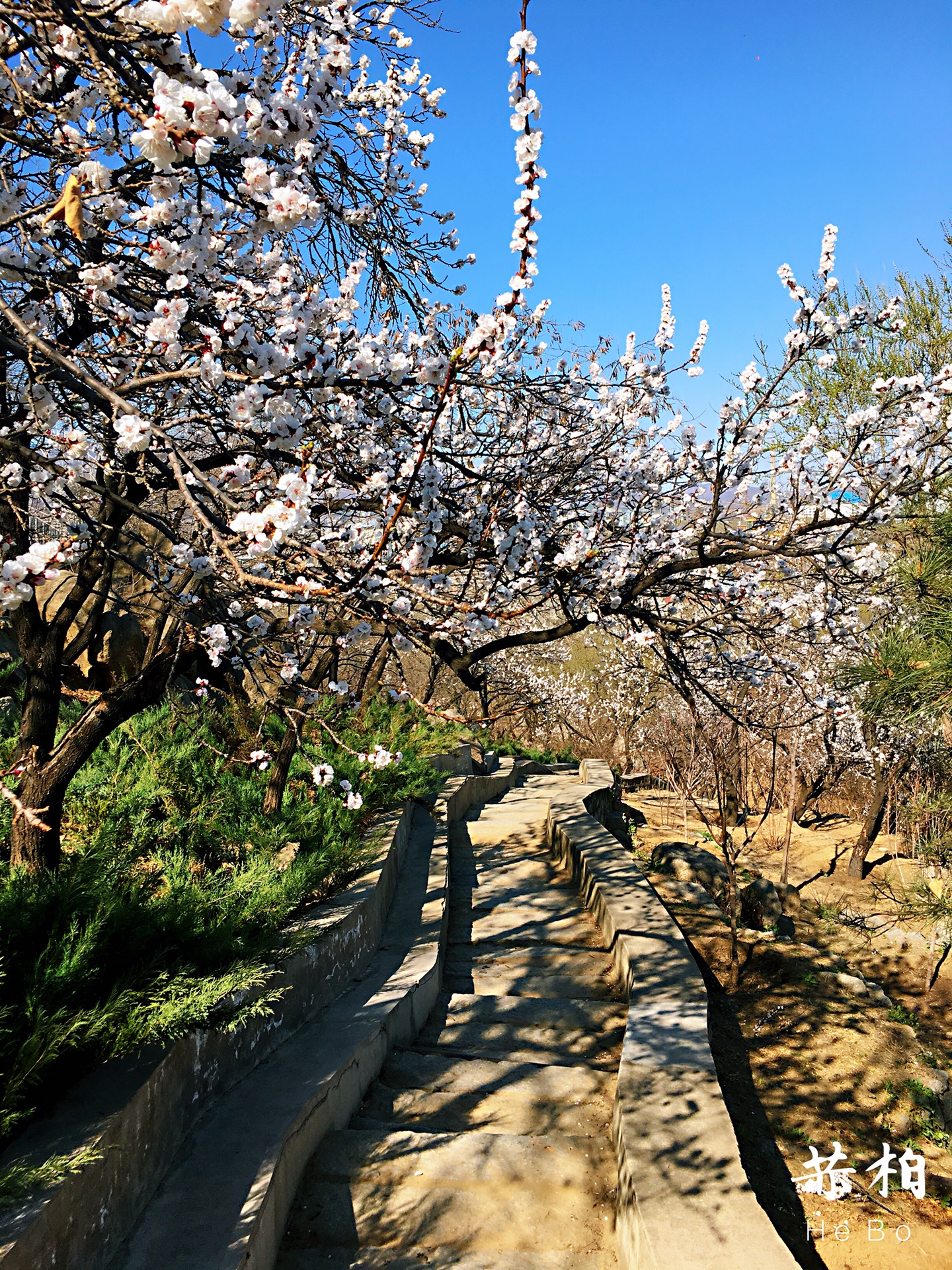 房山区燕山公园