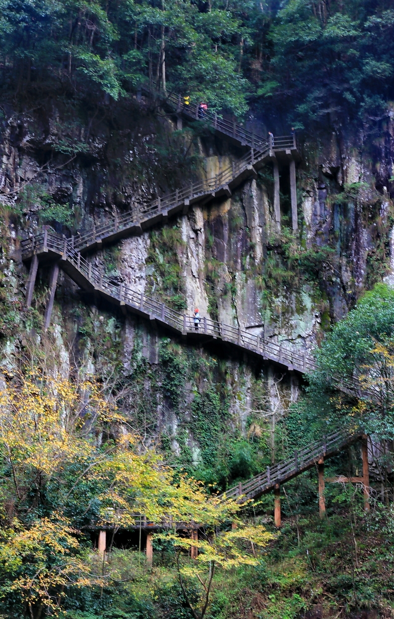 百丈漈,红枫古道,峡谷景廊景区,文成旅游攻略 - 马蜂窝