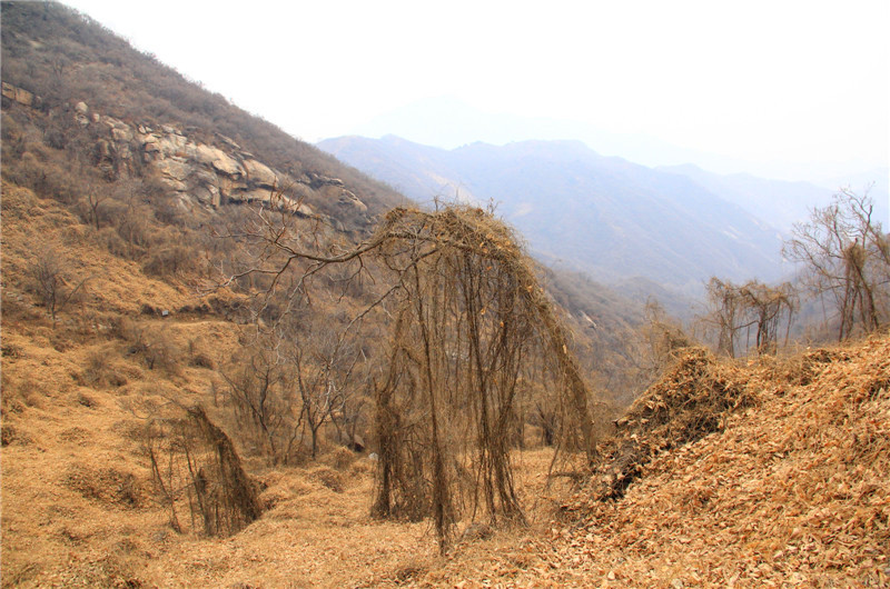 【石家庄图片】大哥和大姐自驾旅行记~~早春三月走山东、转河北、去河南、爬太行山      （游走石家庄周边）