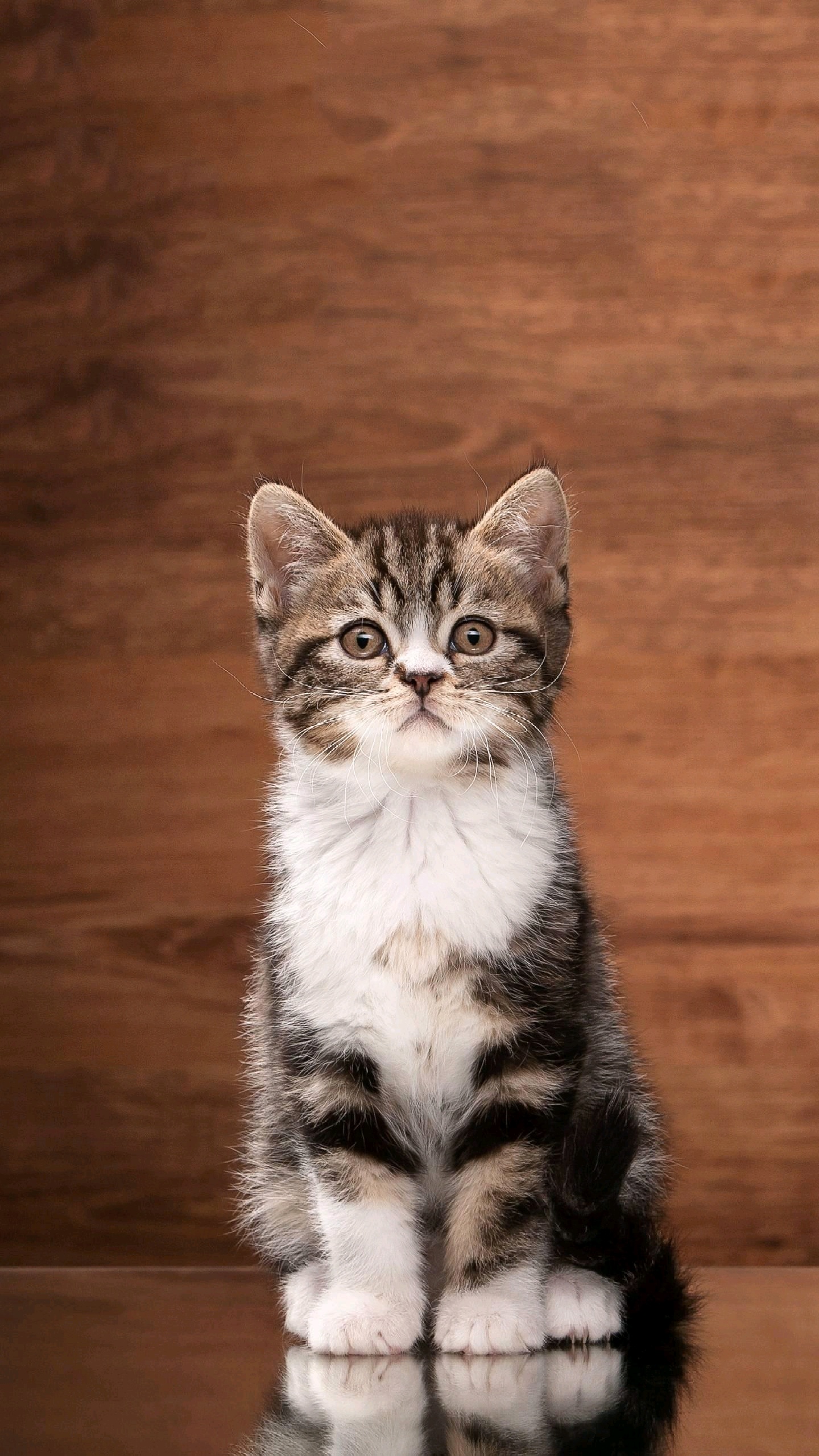 北京娱乐-在水一方休闲会馆