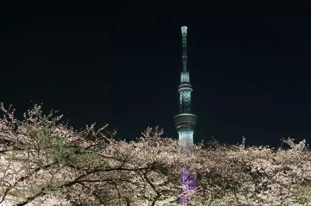 潜派旅行
