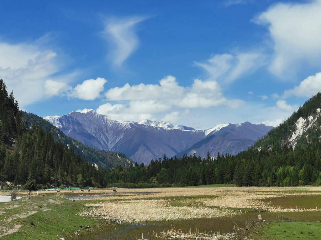 ·不为美景，只为一份牵挂，地震后重返九寨沟_游记