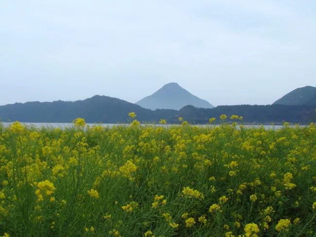 潜派旅行
