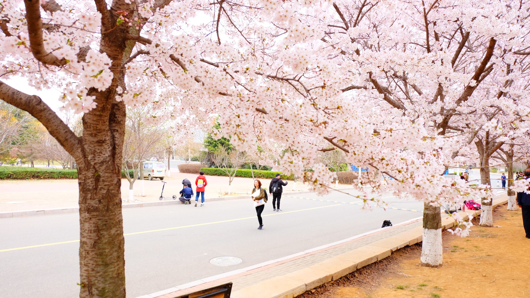 中国海洋大学崂山校区      