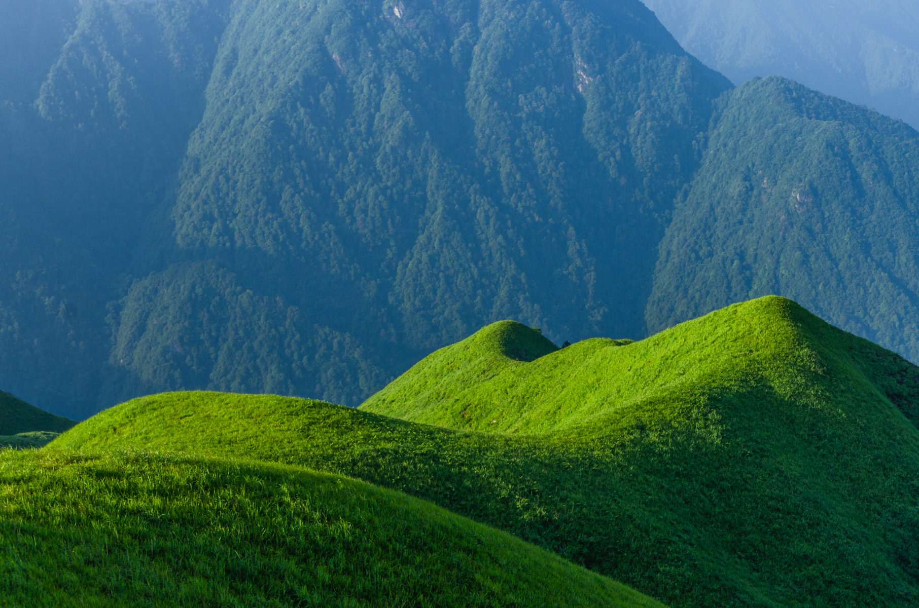 武功山徒步摄影|沉醉于高山草甸六月的绿(2日反穿路线推荐)