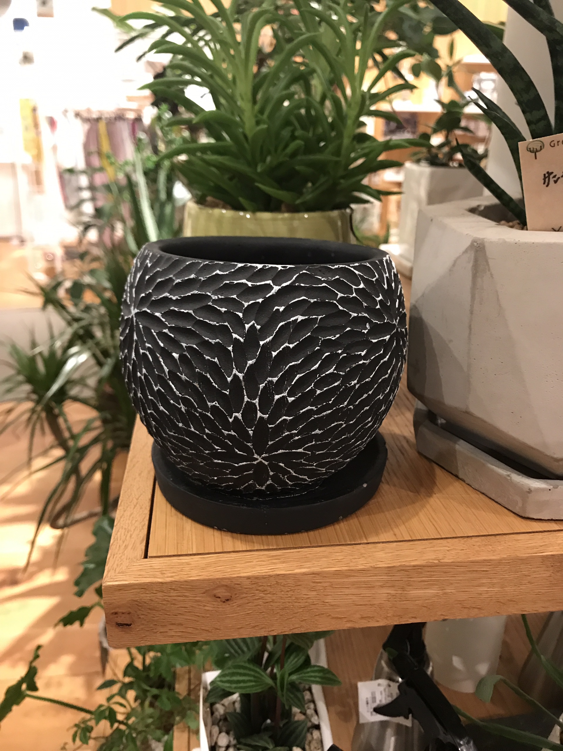 东京美食-Miyatakesanukiudon