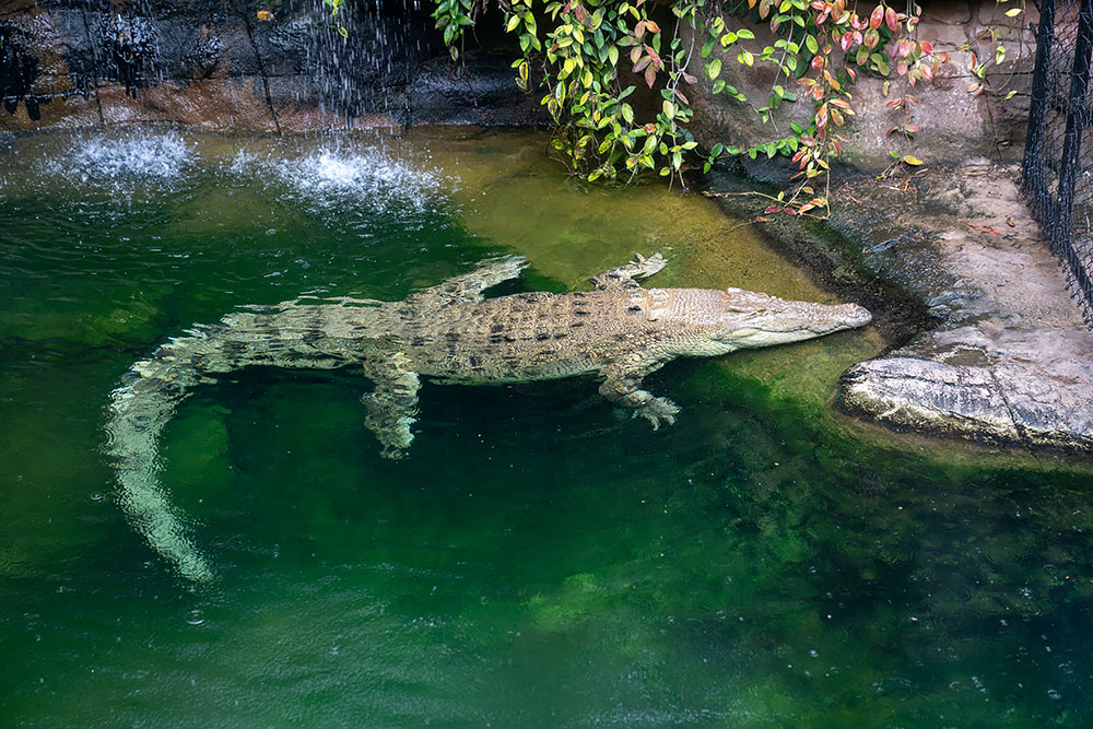 wKgEaVxtGlGAErgXAAQfg53VqFw73