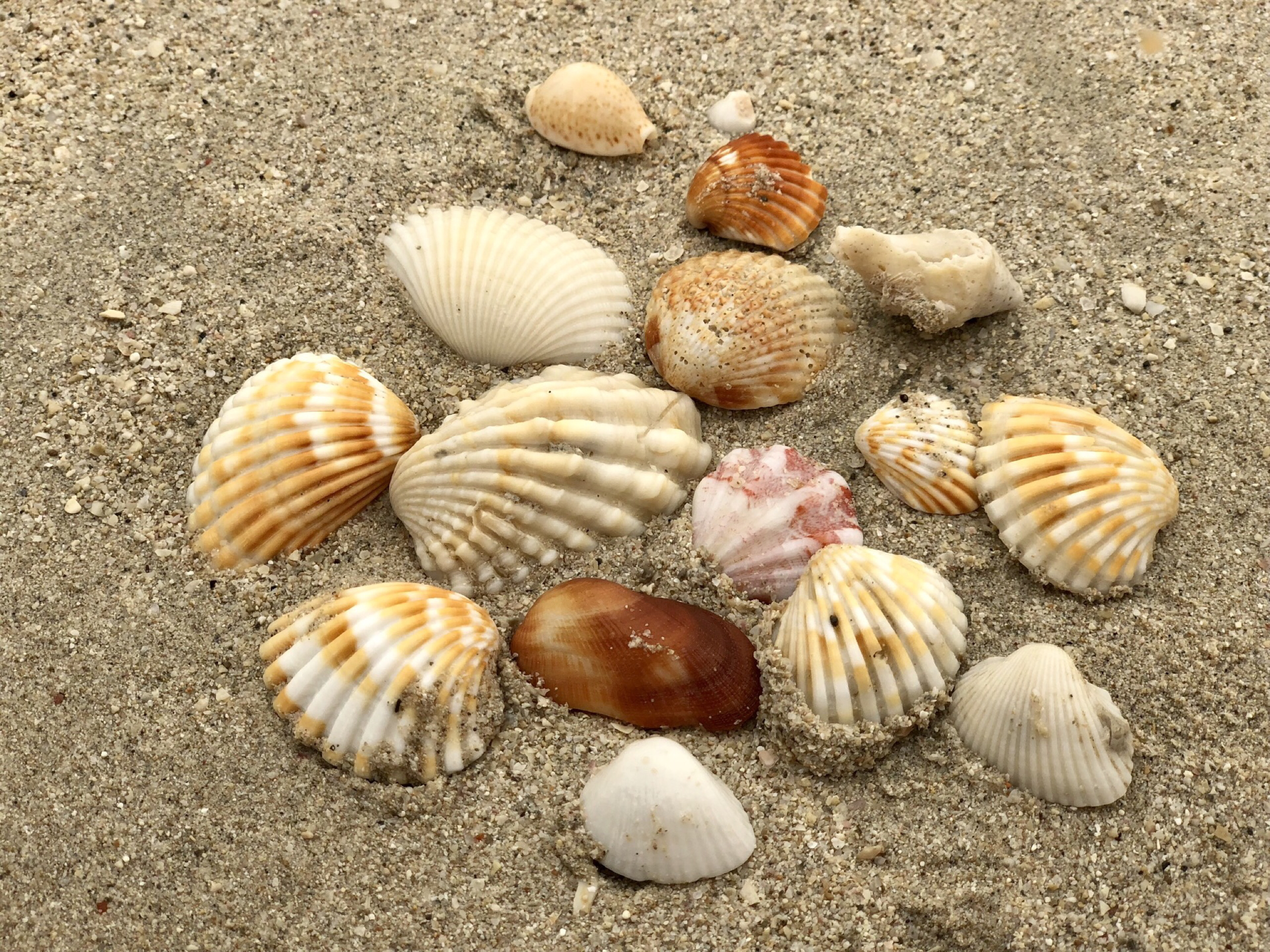 迪拜美食-Sun& Mediterranean Lounge