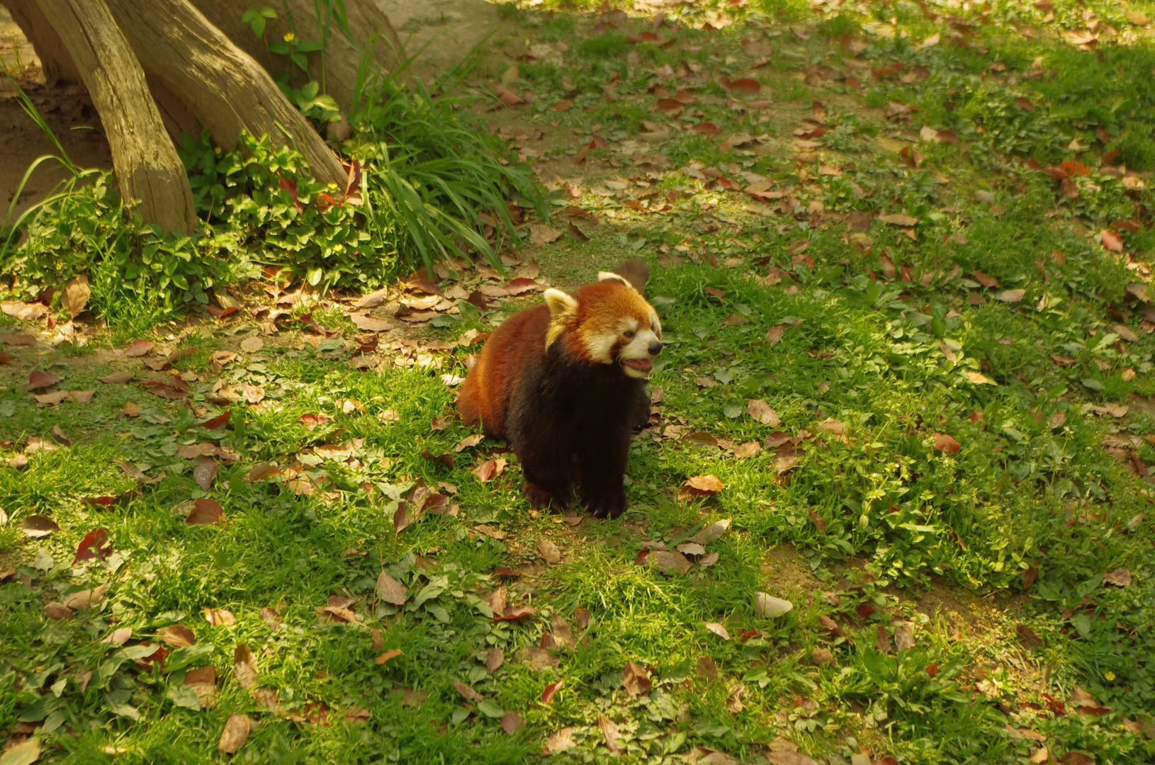 潜派旅行