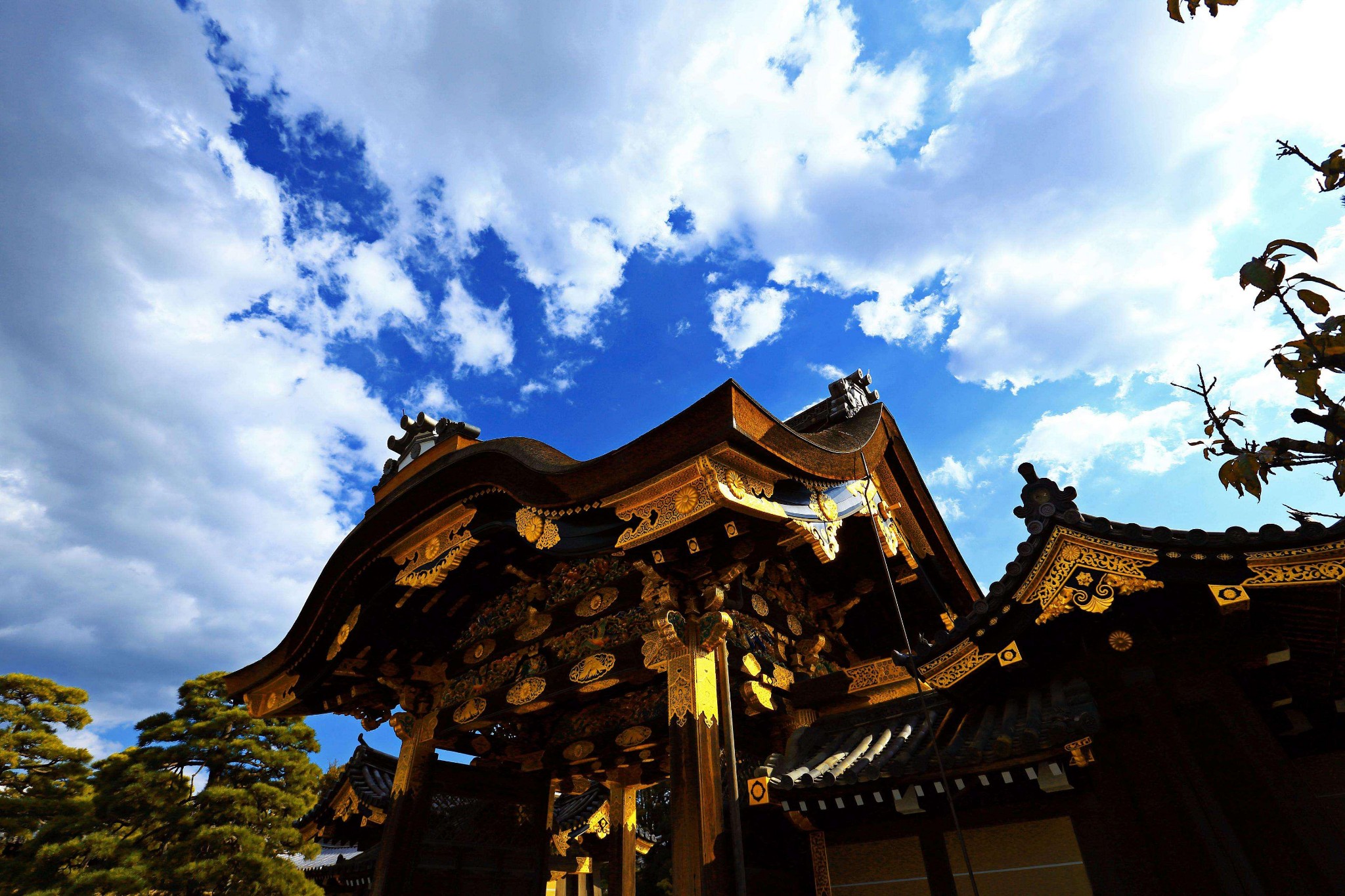潜派旅行