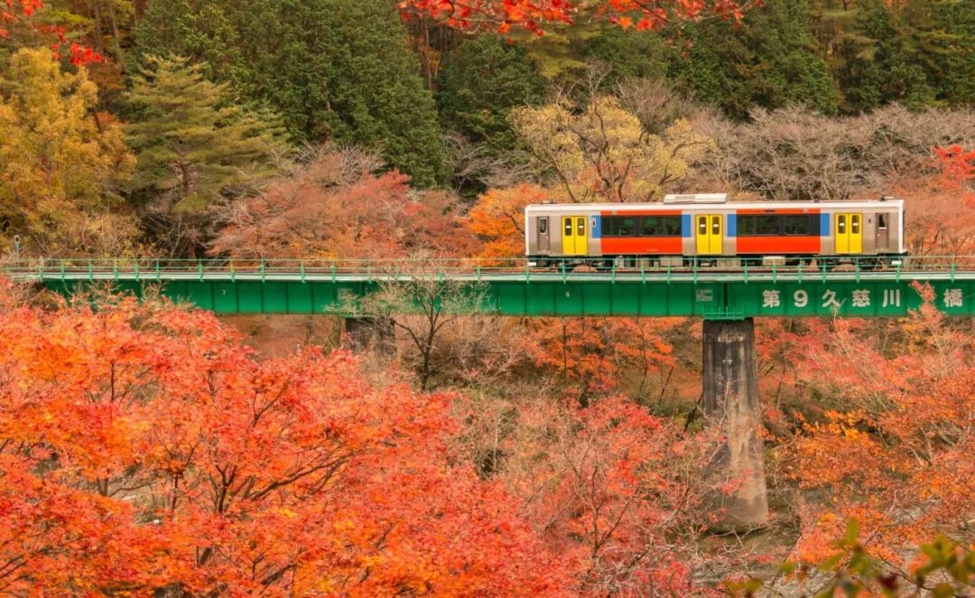 潜派旅行