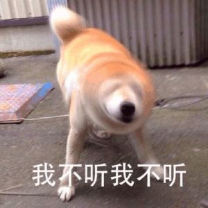 潜派旅行