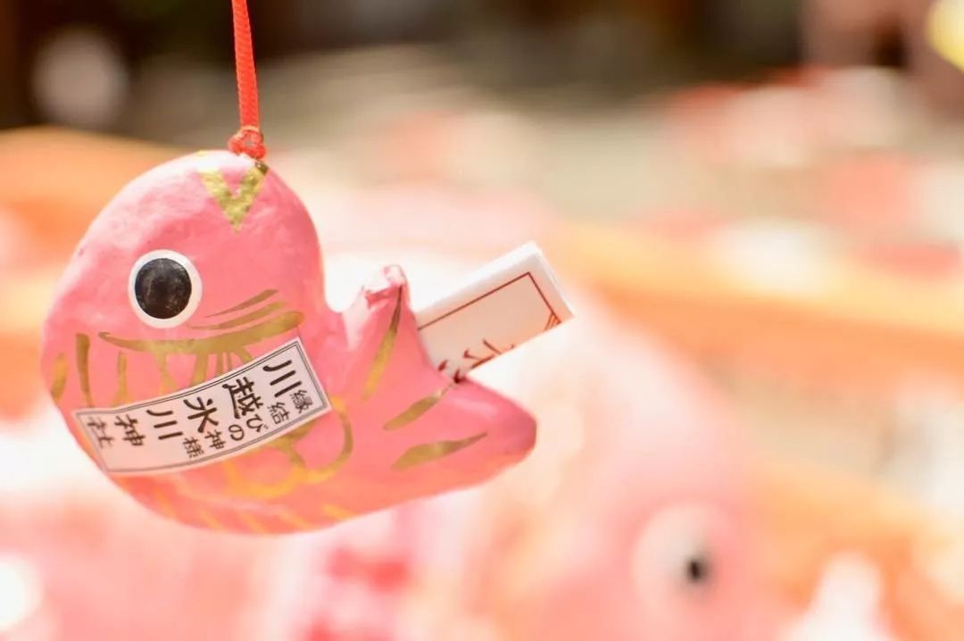 潜派旅行
