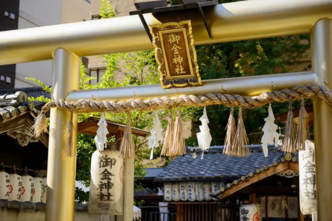潜派旅行